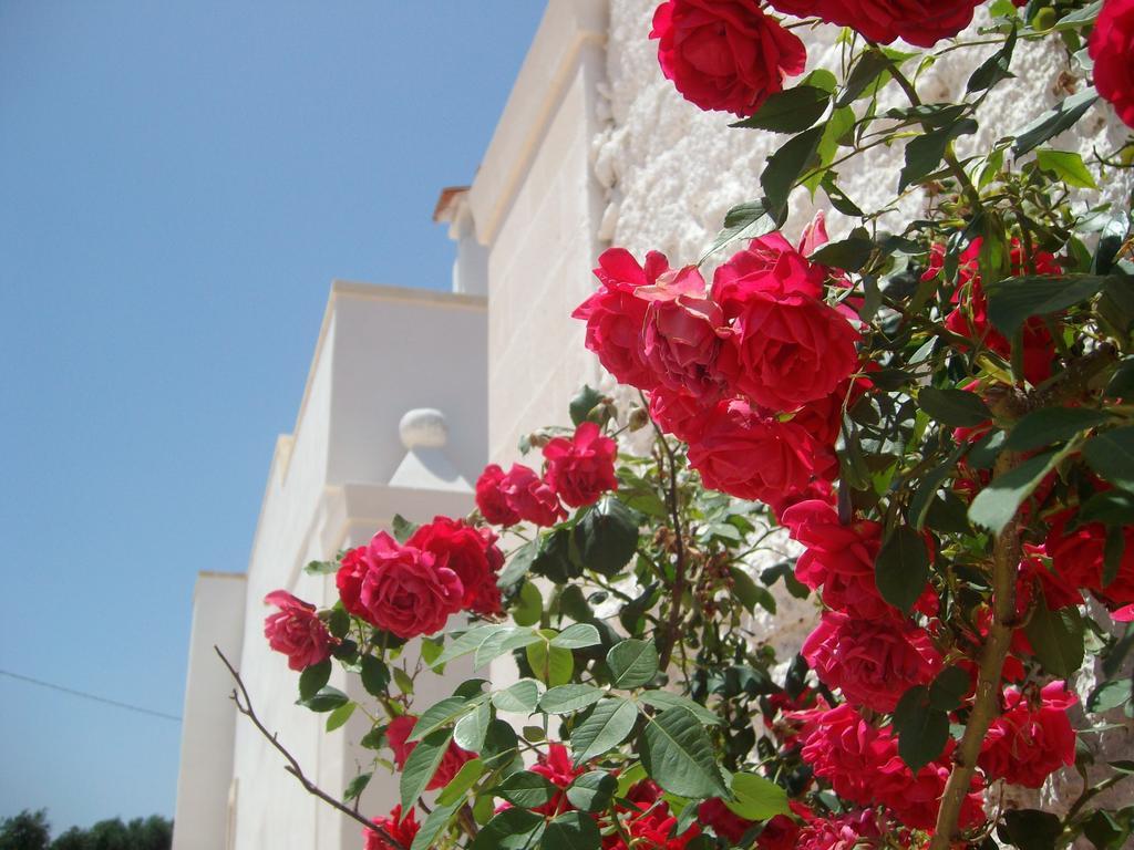 Penzion Masseria Nuova San Marzano di San Giuseppe Exteriér fotografie